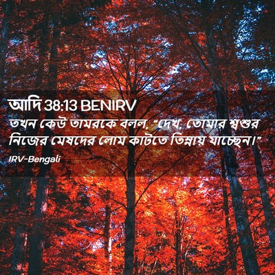 Picture 02 - আদি 38:13 BENIRV - তখন কেউ তামরকে বলল, - Bible Verse Picture