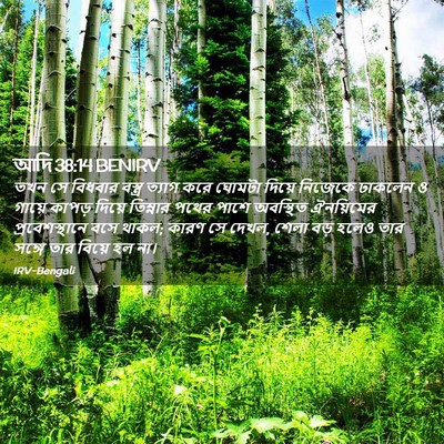Picture 02 - আদি 38:14 BENIRV - তখন সে বিধবার - Bible Verse Picture