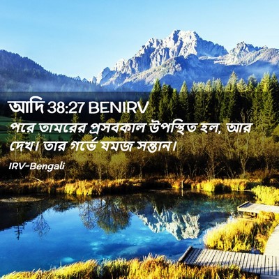 Picture 02 - আদি 38:27 BENIRV - পরে তামরের - Bible Verse Picture