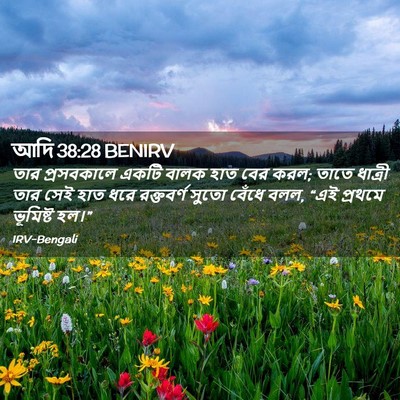 Picture 02 - আদি 38:28 BENIRV - তার প্রসবকালে - Bible Verse Picture