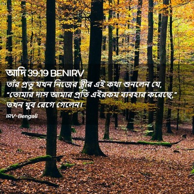 Picture 02 - আদি 39:19 BENIRV - তাঁর প্রভু যখন - Bible Verse Picture