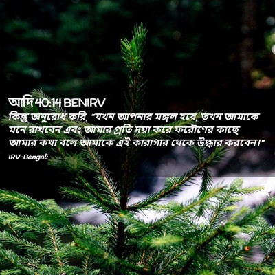 Picture 02 - আদি 40:14 BENIRV - কিন্তু অনুরোধ করি, - Bible Verse Picture