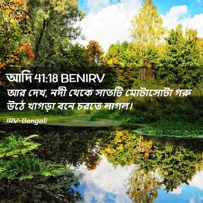 Picture 02 - আদি 41:18 BENIRV - আর দেখ, নদী থেকে - Bible Verse Picture