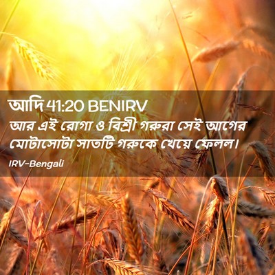 Picture 02 - আদি 41:20 BENIRV - আর এই রোগা ও বিশ্রী - Bible Verse Picture