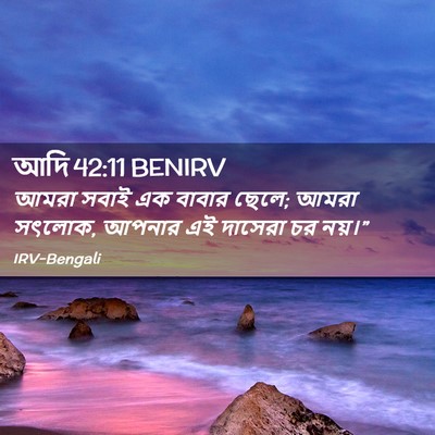 Picture 02 - আদি 42:11 BENIRV - আমরা সবাই এক বাবার - Bible Verse Picture