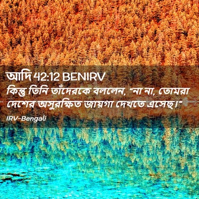 Picture 02 - আদি 42:12 BENIRV - কিন্তু তিনি - Bible Verse Picture