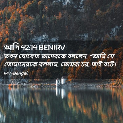 Picture 02 - আদি 42:14 BENIRV - তখন যোষেফ তাদেরকে - Bible Verse Picture