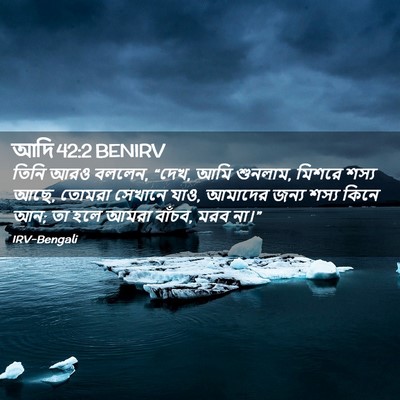 Picture 02 - আদি 42:2 BENIRV - তিনি আরও বললেন, - Bible Verse Picture