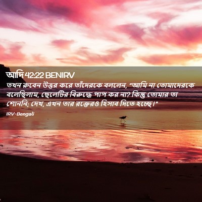 Picture 02 - আদি 42:22 BENIRV - তখন রুবেন উত্তর - Bible Verse Picture