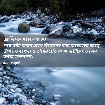 Picture 02 - আদি 42:29 BENIRV - পরে তাঁরা কনান - Bible Verse Picture