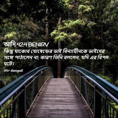Picture 02 - আদি 42:4 BENIRV - কিন্তু যাকোব - Bible Verse Picture