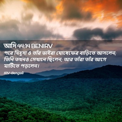 Picture 02 - আদি 44:14 BENIRV - পরে যিহূদা ও তাঁর - Bible Verse Picture