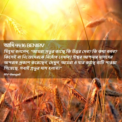 Picture 02 - আদি 44:16 BENIRV - যিহূদা বললেন, - Bible Verse Picture
