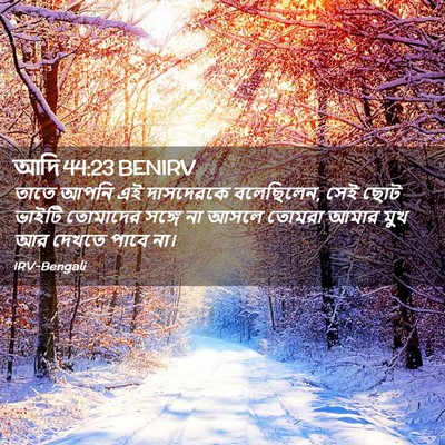 Picture 02 - আদি 44:23 BENIRV - তাতে আপনি এই - Bible Verse Picture