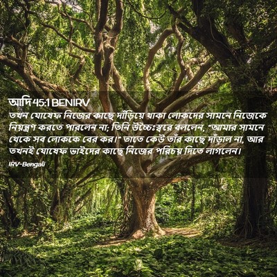 Picture 02 - আদি 45:1 BENIRV - তখন যোষেফ নিজের - Bible Verse Picture