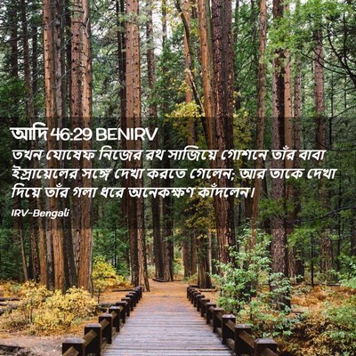 Picture 02 - আদি 46:29 BENIRV - তখন যোষেফ নিজের রথ - Bible Verse Picture