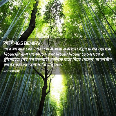Picture 02 - আদি 46:5 BENIRV - পরে যাকোব বের-শেবা - Bible Verse Picture