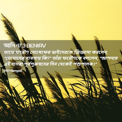Picture 02 - আদি 47:3 BENIRV - তাতে ফরৌণ যোষেফের - Bible Verse Picture
