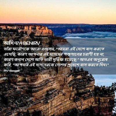 Picture 02 - আদি 47:4 BENIRV - তাঁরা ফরৌণকে আরো - Bible Verse Picture