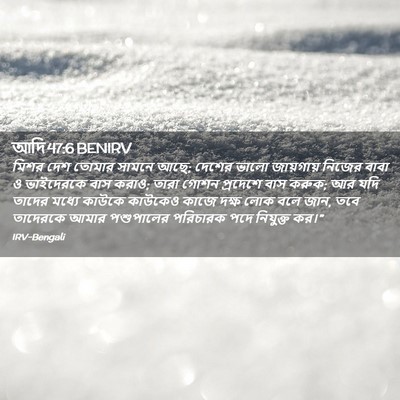 Picture 02 - আদি 47:6 BENIRV - মিশর দেশ তোমার - Bible Verse Picture