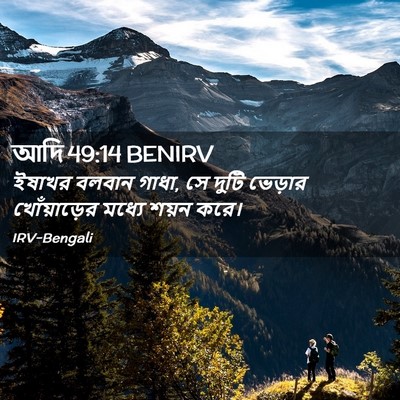 Picture 02 - আদি 49:14 BENIRV - ইষাখর বলবান গাধা, - Bible Verse Picture