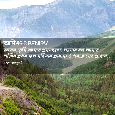 Picture 02 - আদি 49:3 BENIRV - রুবেন, তুমি আমার - Bible Verse Picture