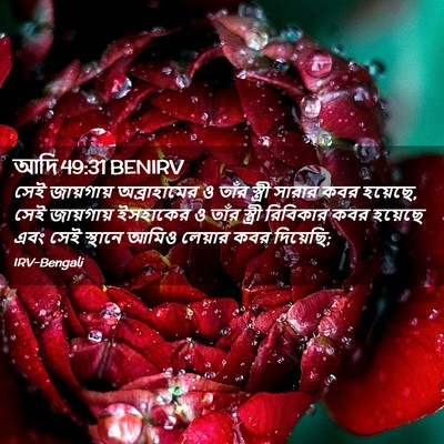 Picture 02 - আদি 49:31 BENIRV - সেই জায়গায় - Bible Verse Picture