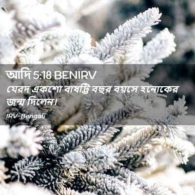 Picture 02 - আদি 5:18 BENIRV - যেরদ একশো বাষট্টি - Bible Verse Picture