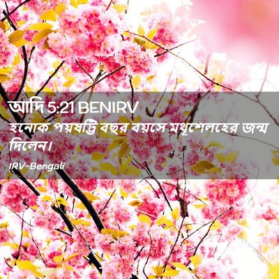 Picture 02 - আদি 5:21 BENIRV - হনোক পয়ষট্টি বছর - Bible Verse Picture