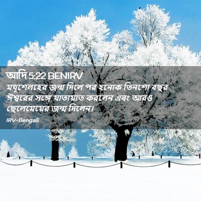 Picture 02 - আদি 5:22 BENIRV - মথূশেলহের জন্ম - Bible Verse Picture