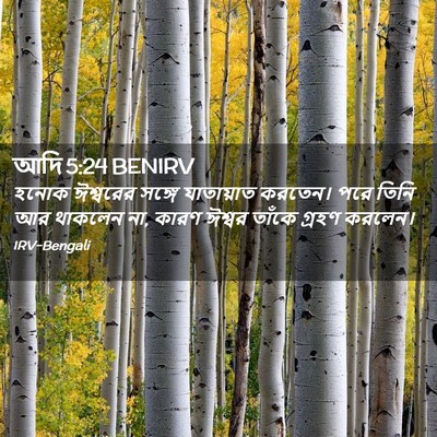 Picture 02 - আদি 5:24 BENIRV - হনোক ঈশ্বরের - Bible Verse Picture