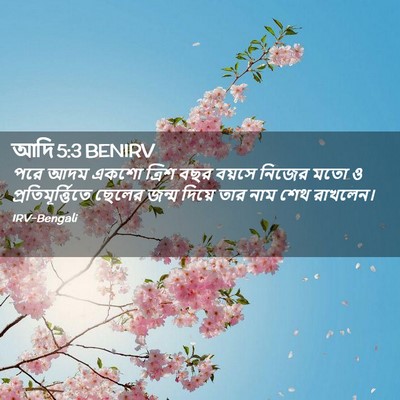 Picture 02 - আদি 5:3 BENIRV - পরে আদম একশো ত্রিশ - Bible Verse Picture