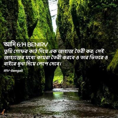 Picture 02 - আদি 6:14 BENIRV - তুমি গোফর কাঠ - Bible Verse Picture