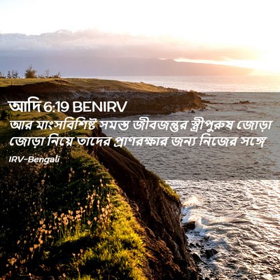 Picture 02 - আদি 6:19 BENIRV - আর মাংসবিশিষ্ট - Bible Verse Picture