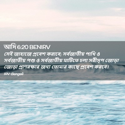 Picture 02 - আদি 6:20 BENIRV - সেই জাহাজে প্রবেশ - Bible Verse Picture