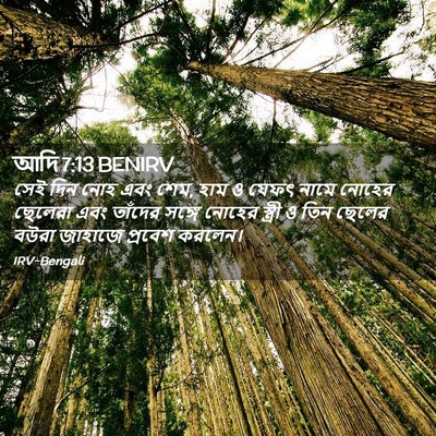 Picture 02 - আদি 7:13 BENIRV - সেই দিন নোহ এবং - Bible Verse Picture