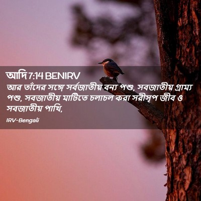 Picture 02 - আদি 7:14 BENIRV - আর তাঁদের সঙ্গে - Bible Verse Picture