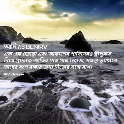 Picture 02 - আদি 7:3 BENIRV - এক এক জোড়া এবং - Bible Verse Picture