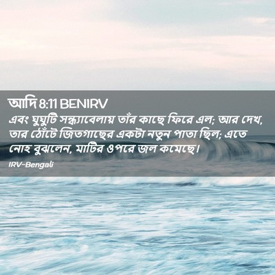 Picture 02 - আদি 8:11 BENIRV - এবং ঘুঘুটি - Bible Verse Picture