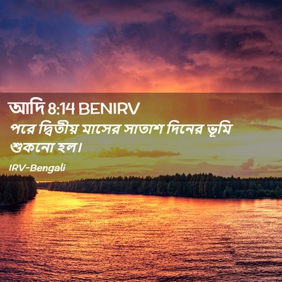 Picture 02 - আদি 8:14 BENIRV - পরে দ্বিতীয় - Bible Verse Picture