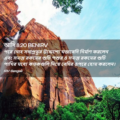 Picture 02 - আদি 8:20 BENIRV - পরে নোহ সদাপ্রভুর - Bible Verse Picture