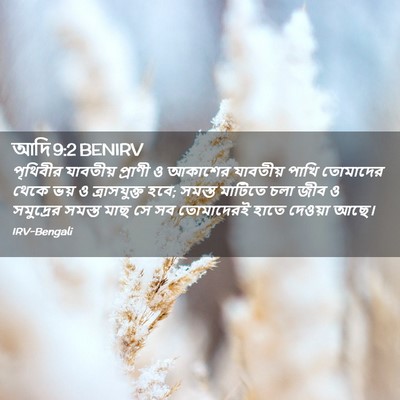Picture 02 - আদি 9:2 BENIRV - পৃথিবীর যাবতীয় - Bible Verse Picture