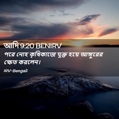 Picture 02 - আদি 9:20 BENIRV - পরে নোহ কৃষিকাজে - Bible Verse Picture