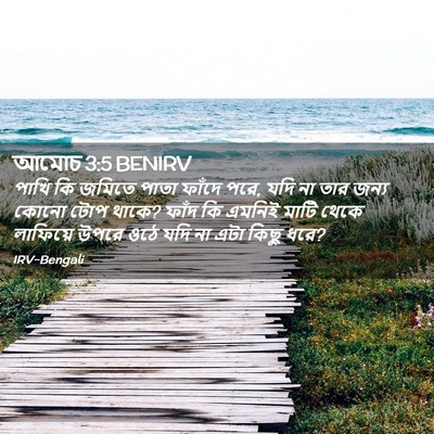 Picture 02 - আমোচ 3:5 BENIRV - পাখি কি জমিতে পাতা - Bible Verse Picture