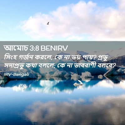 Picture 02 - আমোচ 3:8 BENIRV - সিংহ গর্জন করলে, কে - Bible Verse Picture