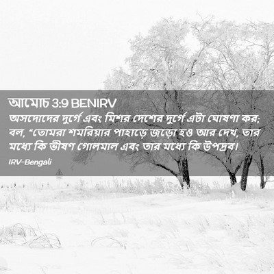 Picture 02 - আমোচ 3:9 BENIRV - অসদোদের দুর্গে - Bible Verse Picture