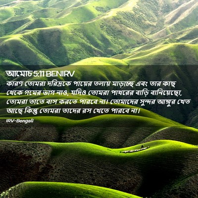 Picture 02 - আমোচ 5:11 BENIRV - কারণ তোমরা - Bible Verse Picture