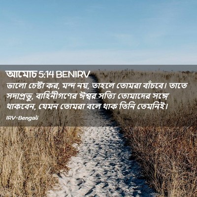 Picture 02 - আমোচ 5:14 BENIRV - ভালো চেষ্টা কর, - Bible Verse Picture