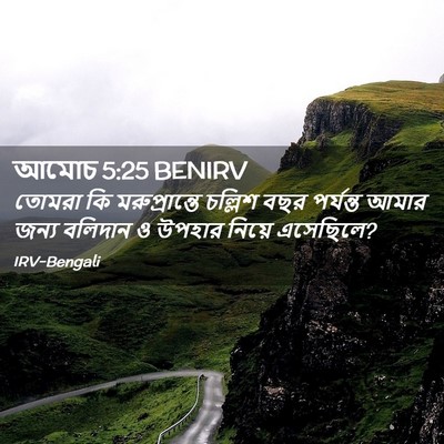 Picture 02 - আমোচ 5:25 BENIRV - তোমরা কি - Bible Verse Picture