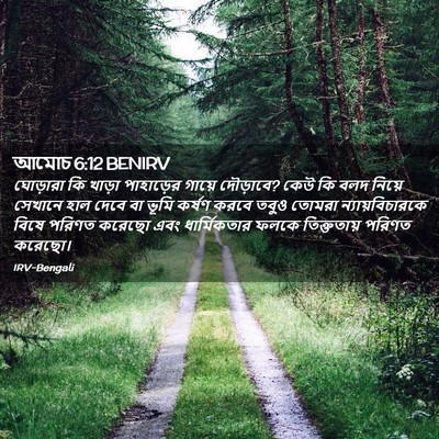Picture 02 - আমোচ 6:12 BENIRV - ঘোড়ারা কি খাড়া - Bible Verse Picture
